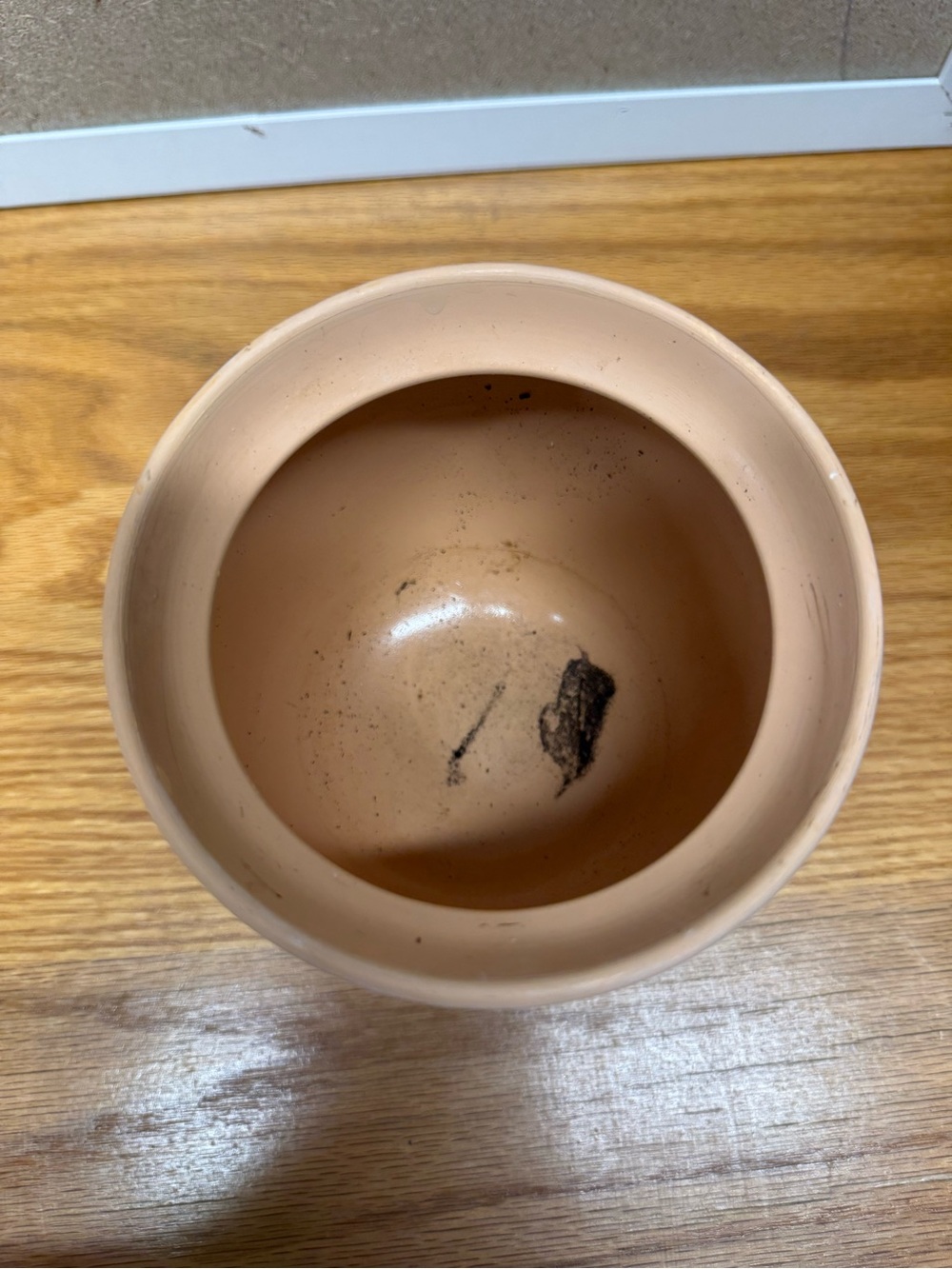 Textured terra cotta planter pot - Picture 3 of 5